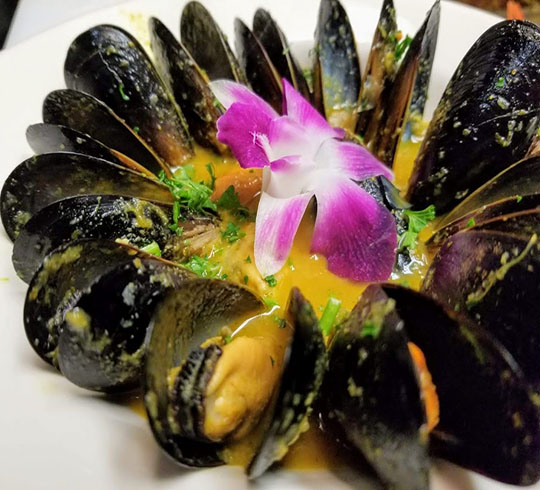  Kevin Mussels 